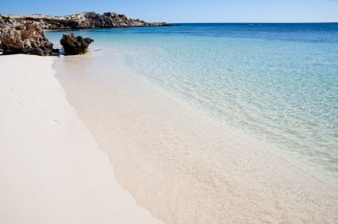 Rottnest Adası - Batı Avustralya
