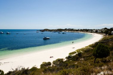 Rottnest Adası - Batı Avustralya