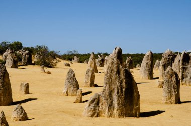 Pinnacles - Batı Avustralya