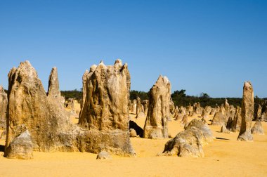Pinnacles - Batı Avustralya