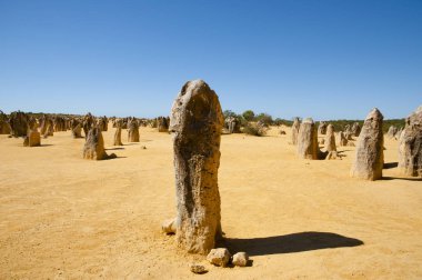 Pinnacles - Batı Avustralya