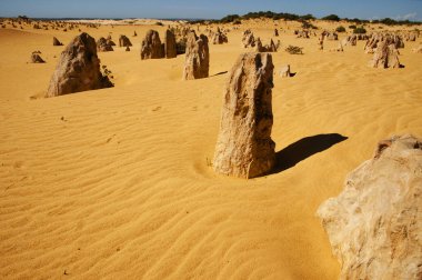 Pinnacles - Batı Avustralya