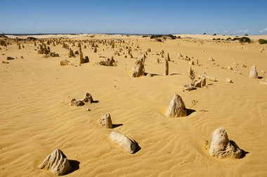 Pinnacles - Batı Avustralya