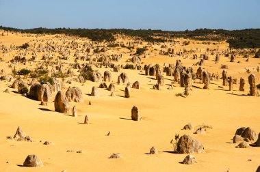 Pinnacles - Batı Avustralya