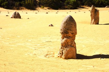 Pinnacles - Batı Avustralya