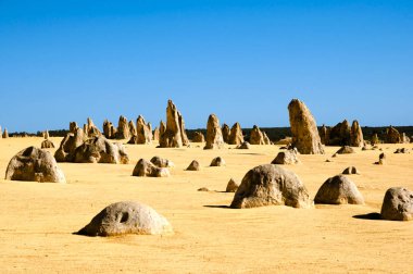 Pinnacles - Batı Avustralya