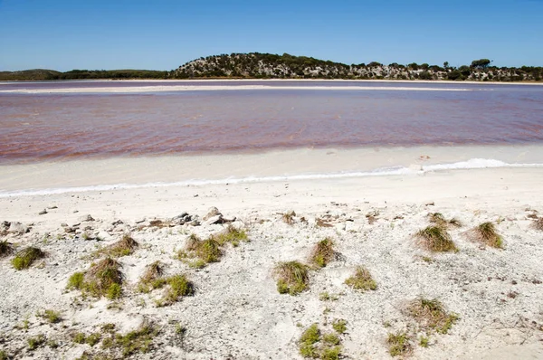 Pink Lake - Rottnest Island - Australia