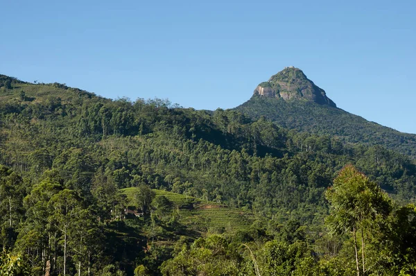 Adam Peak Sri Lanka — Stock Photo, Image