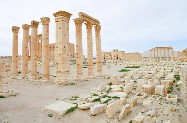Palmyra Harabeleri - Suriye (önce iç savaşı)