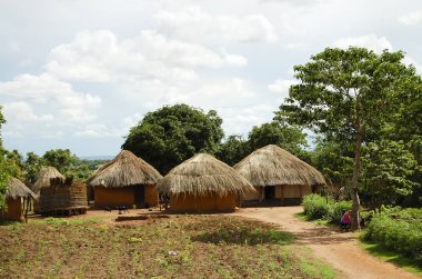 Geleneksel Afrika kulübeleri - Zambiya