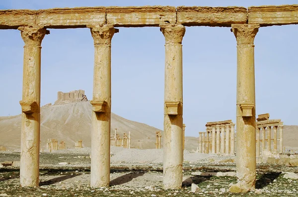 Ruínas Palmyra Síria Antes Guerra Civil — Fotografia de Stock