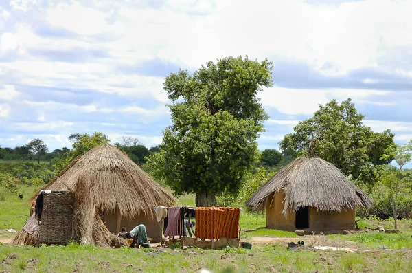 Cabanes Traditionnelles Africaines Zambie — Photo