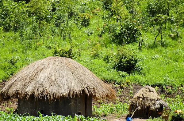 Rifugio Tradizionale Africano Zambia — Foto Stock