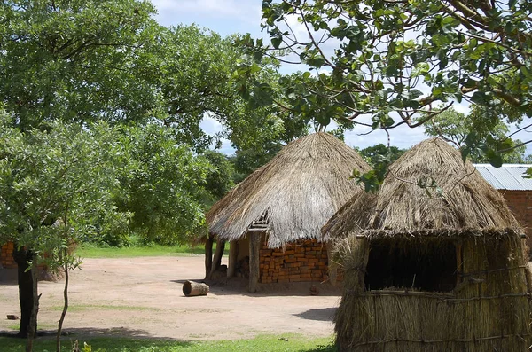 Capanne Paglia Africana Zambia — Foto Stock