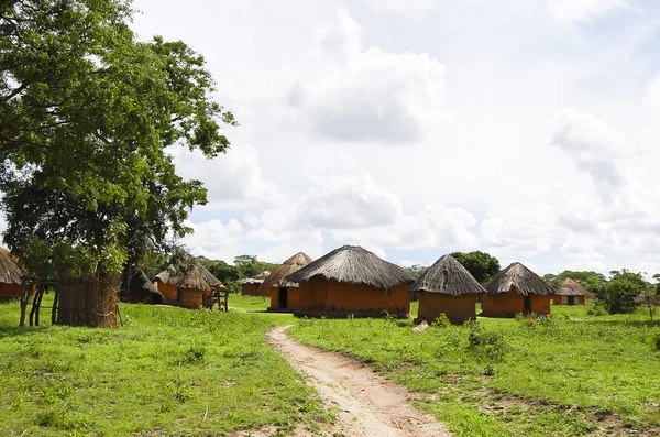 Capanne Tradizionali Africane Zambia — Foto Stock