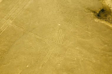 Sinek kuşu - Nasca çizgileri - Peru
