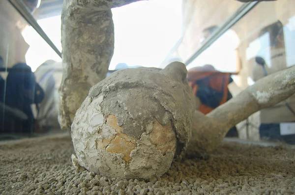 Cráneo Humano Ceniza Pompeya Italia — Foto de Stock