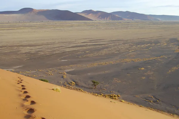 Dunes Sable Sossusvlei Namibie — Photo