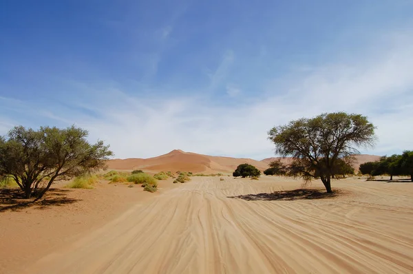 Route Des Dunes Sable Sossusvlei Namibie — Photo