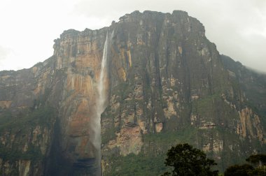Waterfall of Angel Falls - Venezuela clipart