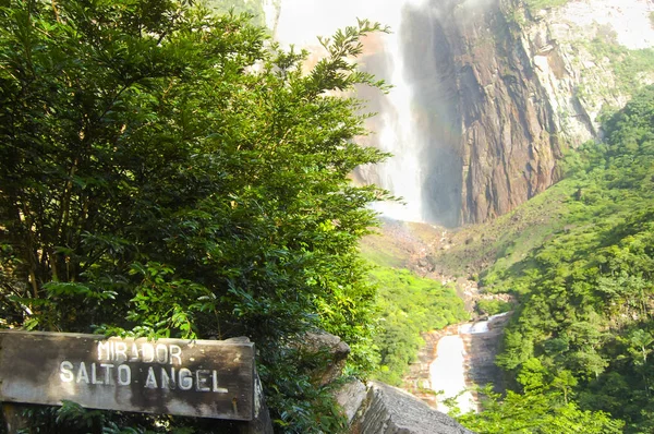 Cascade Angel Falls Venezuela — Photo