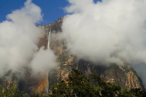 Waterfall of Angel Falls - Venezuela