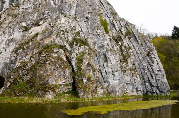 Folded Sedimentary Rock Durbuy Bélgica — Fotografia de Stock