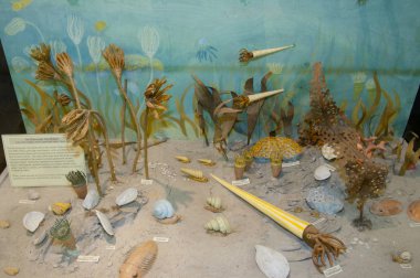 Tarih öncesi deniz alt hayat