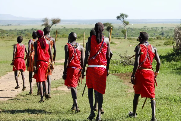 Masai Uomo Abbigliamento Tradizionale Kenya — Foto Stock