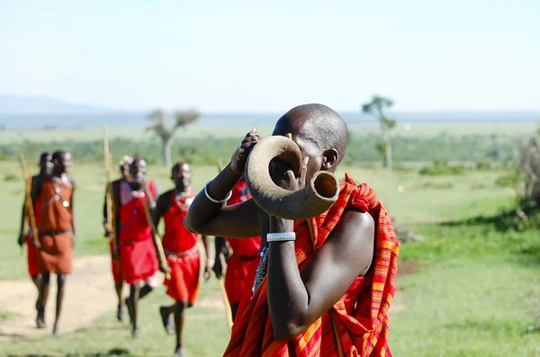 Masai Uomo Corno Kudu Che Soffia Kenya — Foto Stock