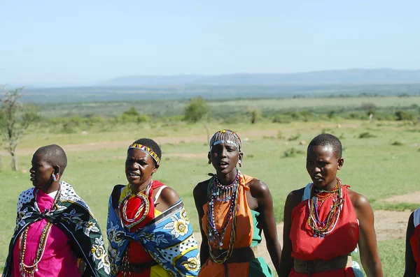 Rezervace Masai Mara Keňa Listopadu 2008 Rezervaci Masai Ženy Zpěv — Stock fotografie