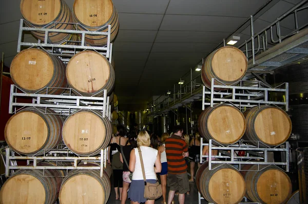 Wine Barrels Южная Африка — стоковое фото