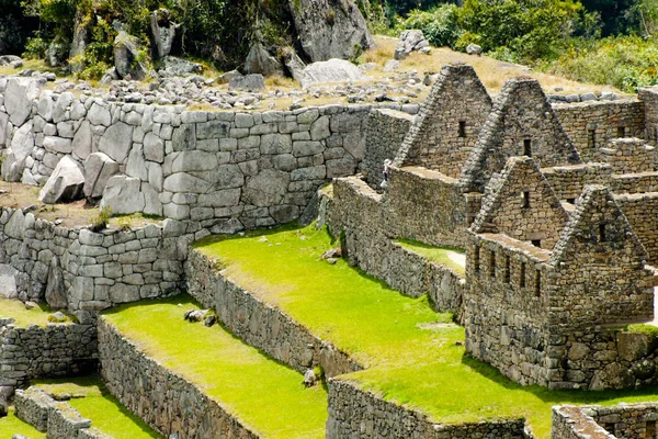 Eski Machu Picchu Harabeleri Peru — Stok fotoğraf