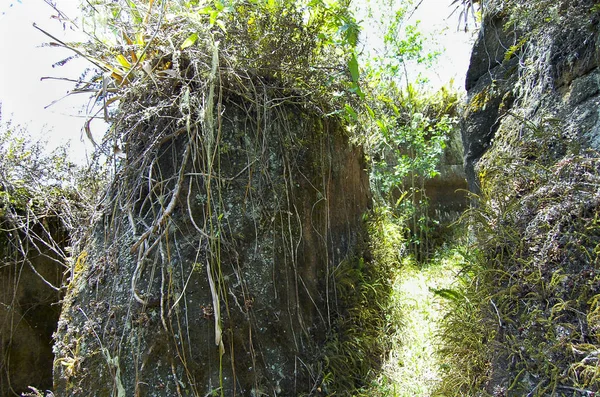 Vulkanisch Gesteente Floreana Island Galapagos — Stockfoto