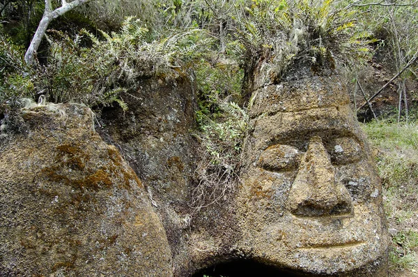 Rock Carving Floreana Sziget Galapagos — Stock Fotó