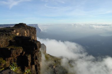 Mount Roraima Zirvesi - Venezuela