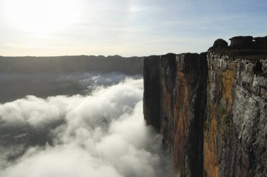 Mount Roraima Zirvesi - Venezuela