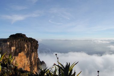Mount Roraima Zirvesi - Venezuela