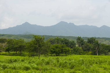 Topes de Collantes Doğal Parkı - Küba