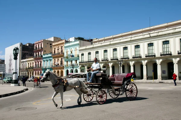 Habana Cuba Junio 2015 Carruaje Caballos Habana Vieja Utilizado Para — Foto de Stock