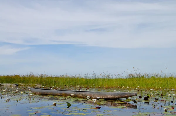 Makoro Båt Okavango Delta Botswana — Stockfoto