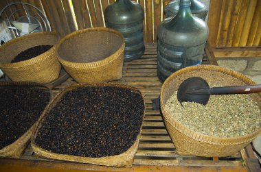 Kavurma için kahve taneleri