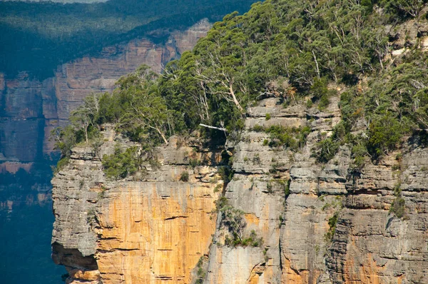 Govett Leap Lookout Blue Mountains Australie — Photo