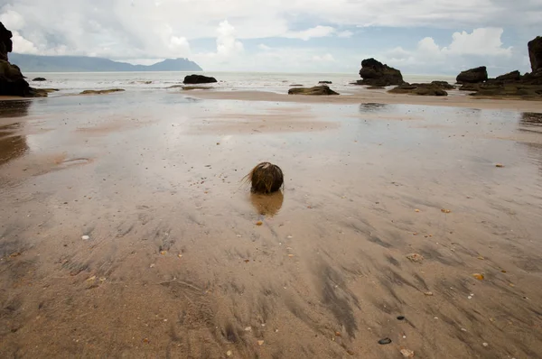 Bako National Park Bornéu Malásia — Fotografia de Stock