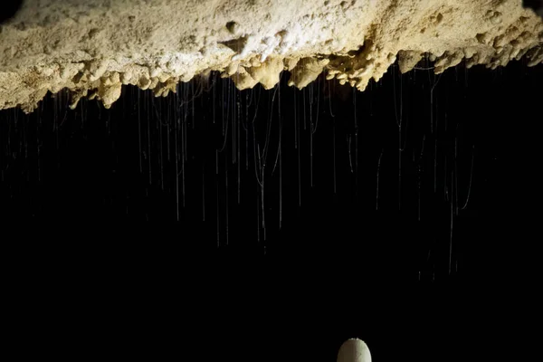 Estalactitas Delgadas Huecas Cueva Langs Borneo Malasia — Foto de Stock