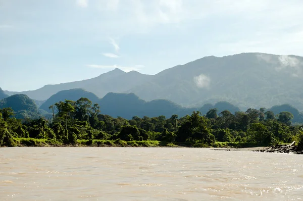 Melinau Paku River Mulu Nationalpark Borneo — Stockfoto