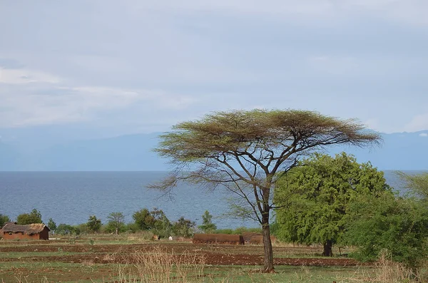 Costa Lago Malawi Malawi — Fotografia de Stock