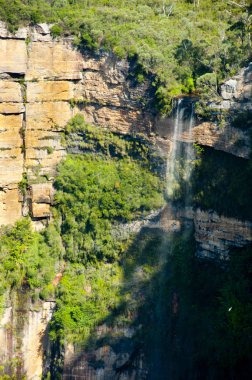 Govett'ın sıçrama uyanık - Blue Mountains - Avustralya