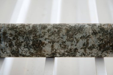 Ultramafic Komatiite Rock çekirdek