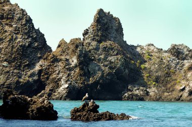 Volkanik kayalar - Çin ada - Galapagos